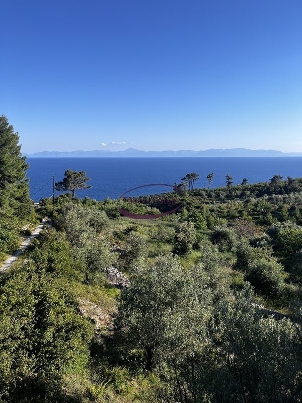 (For Sale) Land Plot || Magnisia/Sporades-Alonnisos - 11.500 Sq.m, 750.000€ 